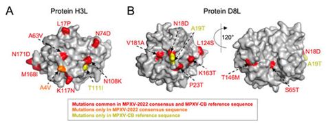 Viruses | Special Issue : Monkeypox Virus (Mpox)