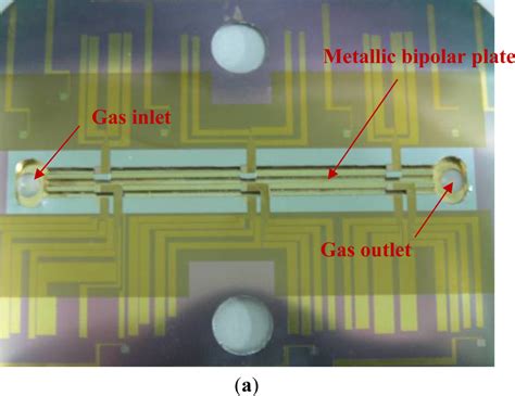 Local Area Water Removal Analysis of a Proton Exchange Membrane Fuel ...