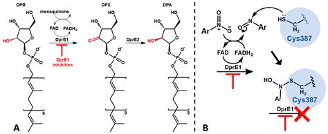 Synthesis, Activity, Toxicity, and In Silico Studies of New ...