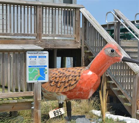 DUPONT NATURE CENTER (2026) All You Need to Know BEFORE You Go (with ...