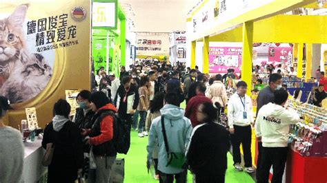 宠博会送什么礼物最新素材