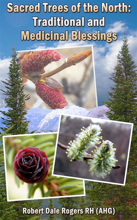 Sacred Trees of the North: Traditional and Medicinal Blessings eBook ...
