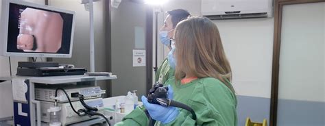 Medical Term Endo at Vincent Flora blog