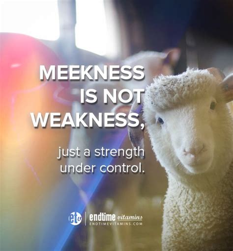 Image result for Meekness Examples