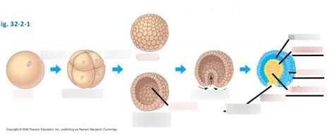 Image result for Direct Development