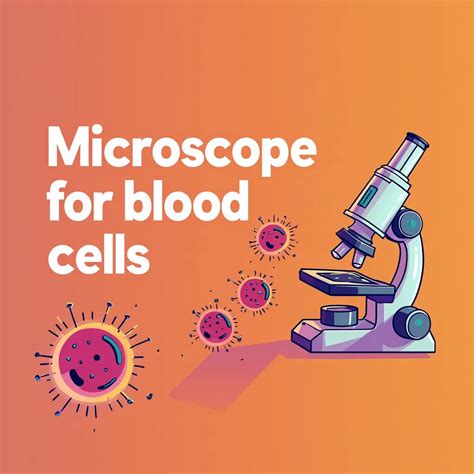 A Guide to Using Microscopes for Blood Cell Observation