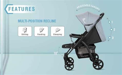 R for Rabbit Falcon Flight Stroller – Swift Health Kart