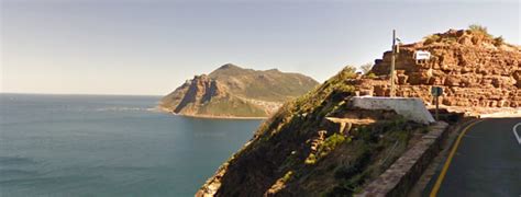 Der Baum im igumbi Logo: Das Vorbild aus Kapstadt