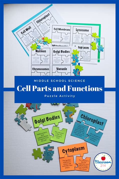 Image result for Check Cells