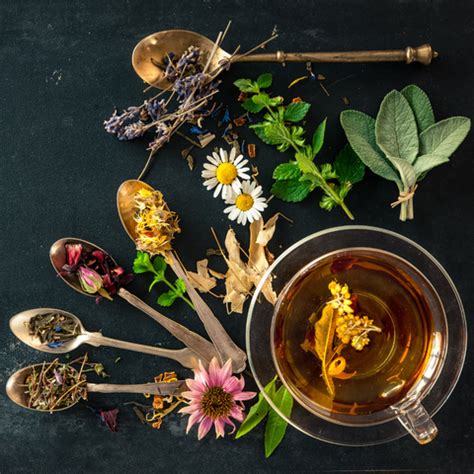 Herbal Tea's - A Complete Guide — Roshni Sanghvi