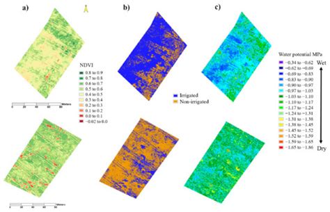 Predicting Water Stress in Wild Blueberry Fields Using Airborne Visible ...