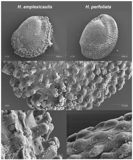Life | Special Issue : Abiotic Stress Signaling and Responses in Plants