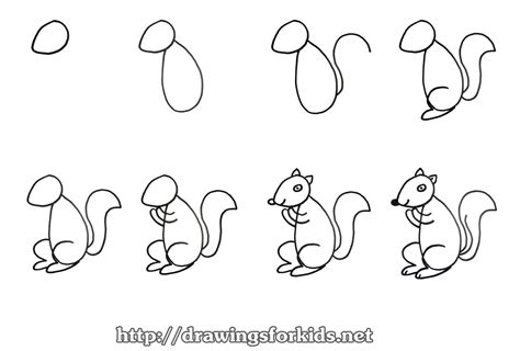 How To Draw A Squirrel Easy Step By Step at James Browning blog