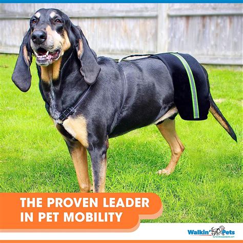 Buy Walkin' Hip-EEZ Dog Hip Brace Support Harness System | The Only Dog ...