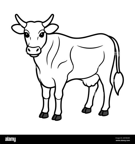 COW LINE ART DESIGN Stock Vector Image & Art - Alamy