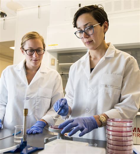 Image result for Environmental Engineering Graduate Programs