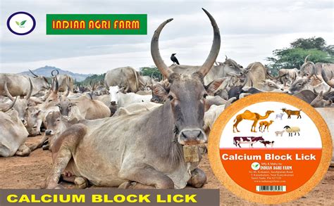 Iagrifarm Calcium Block Pack of 2 Animal Lick for Cow Goat and Sheep ...