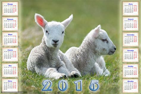 下载壁纸 日历, 2015年, 羊的一年 免费为您的桌面分辨率的壁纸 5315x3543 — 图片 №596161