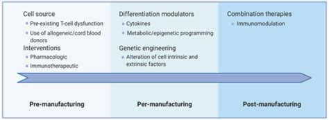 T-Cell Dysfunction as a Limitation of Adoptive Immunotherapy: Current ...