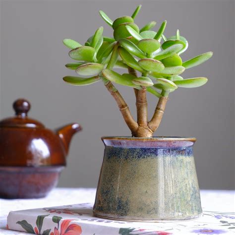 Best Home Decor Under INR 500 To Buy Online | LBB