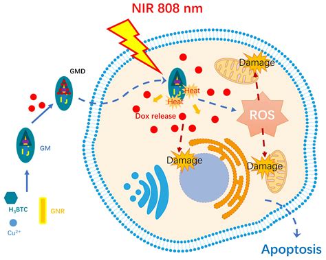 Metal–Organic Framework-Capped Gold Nanorod Hybrids for Combinatorial ...