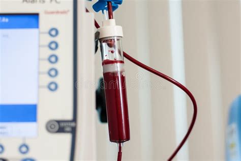 验血图片_验血素材_验血高清图片_摄图网图片下载