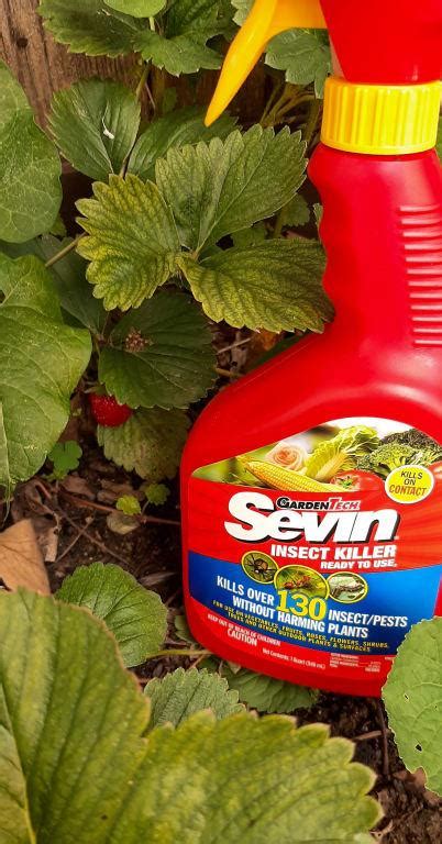 Sevin Garden Insect Killer Ready to Use 1349901044 at Lowes.com