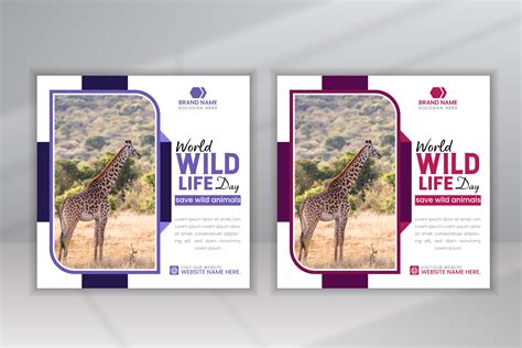 Environment Template Design 的图像结果