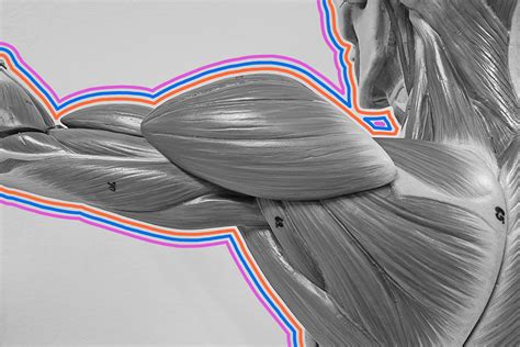 Our Most Tantalizing Facts About Food - Interesting Facts