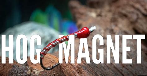 Image result for Hog Tying Tutorial