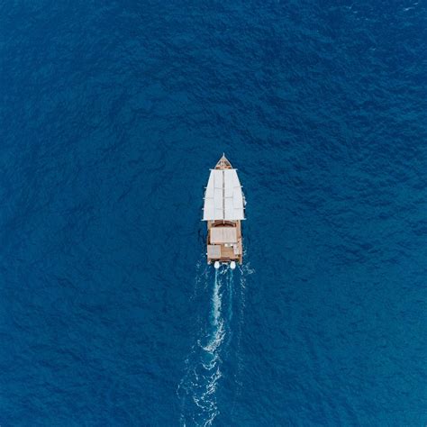 DHOW (2026) All You Need to Know BEFORE You Go (with Photos) - Tripadvisor