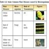Tabulate some common Human diseases and plant diseases caused by ...