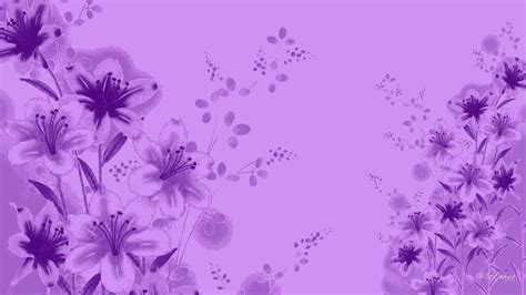 Lilac Color Wallpapers - Top Free Lilac Color Backgrounds - WallpaperAccess