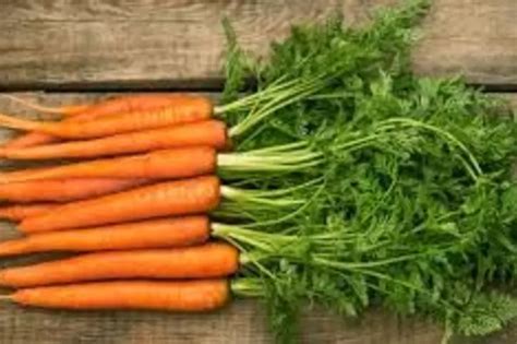 Home Remedies To Treat Chikungunya