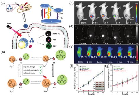 NIR-II Aggregation-Induced Emission Luminogens for Tumor Phototheranostics