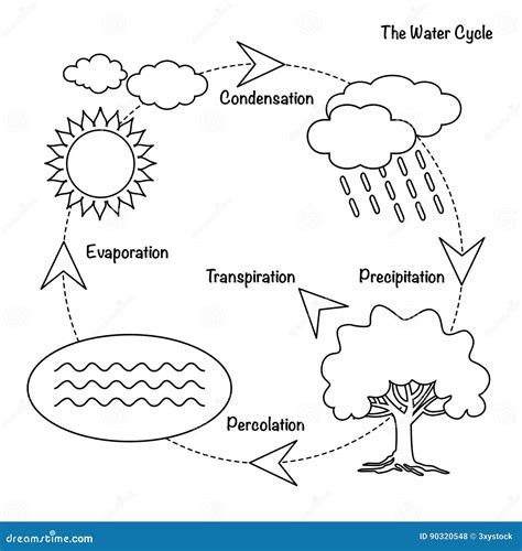 Le cycle de l'eau illustration de vecteur. Illustration du circuit - 90320548
