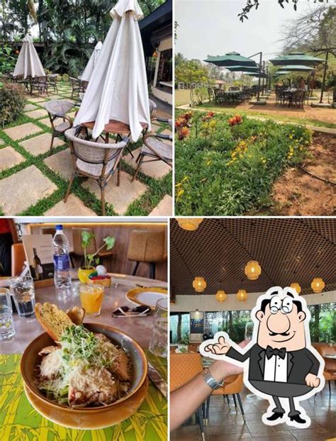 Ranch at Big Banyan Vineyard & Resort, Bengaluru - Restaurant menu ...