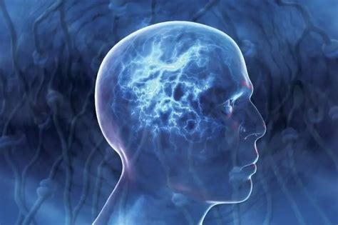 Doctors Find 100 Tapeworm Eggs Inside 8-Year-Old Girl's Brain After She ...