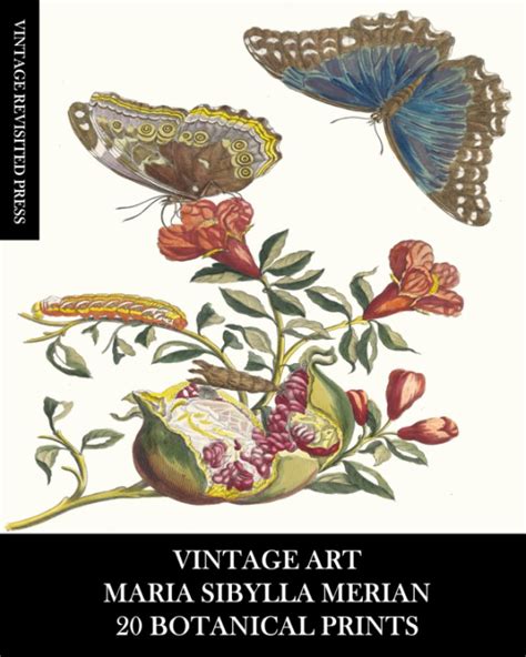 Vintage Art Maria Sibylla Merian 20 Botanical Prints Entomology ...