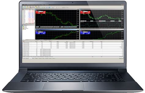 Setting Up MT4 的图像结果