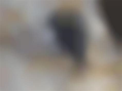 Decadent Pocket Tools : the parachute