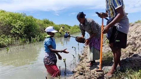 February 3, 2025 – SANDRP