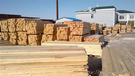 清水模板-德州佳和木业有限公司