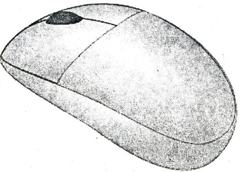 Image result for Nios Data Entry First Chapter