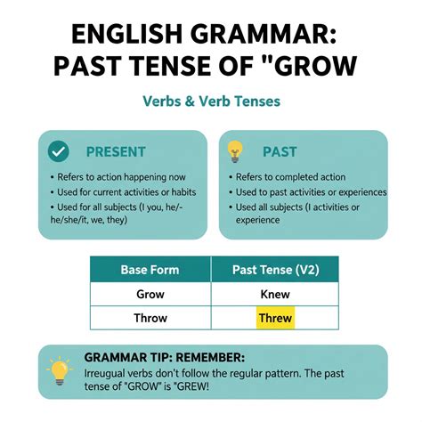 گذشته grow چه می‌شود؟ راهنمای کامل صرف و کاربرد آن در انگلیسی - گاما تبریز