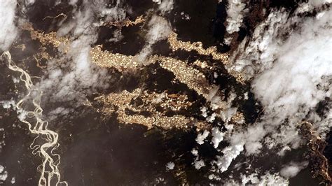 इस जंगल में बिखरा पड़ा है सोना, अंतरिक्ष से दिखा खूबसूरत नज़ारा ...