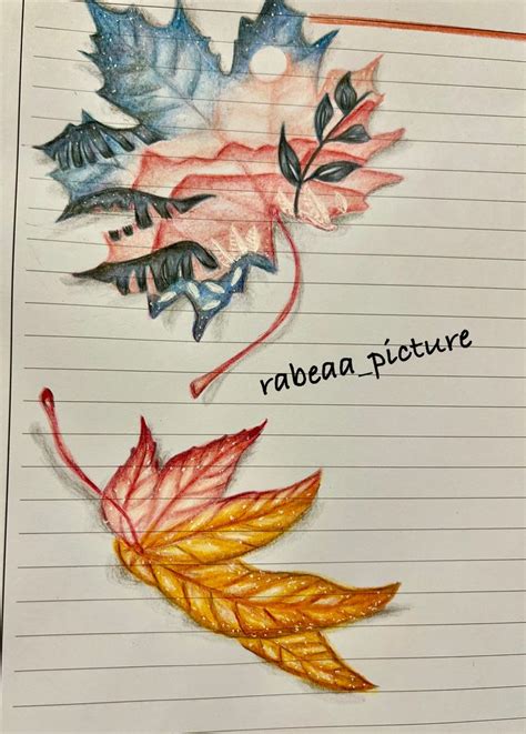 Most Creative InDesign Border 的图像结果