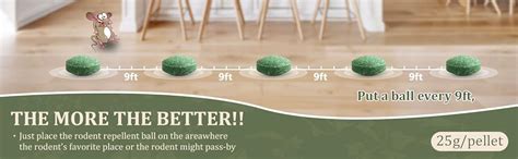 Mouse Repellent Peppermint Oil Mouse and Squirrel Deterrent for Indoor ...