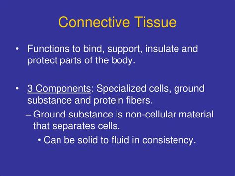 Connective Tissue Function 的图像结果