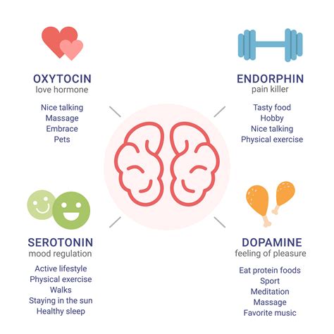 What Increases Serotonin